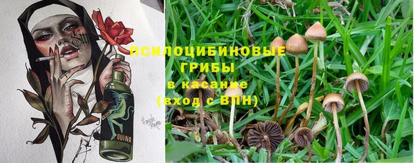 трава Струнино