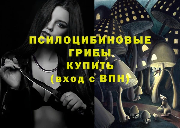 эйфоретик Строитель